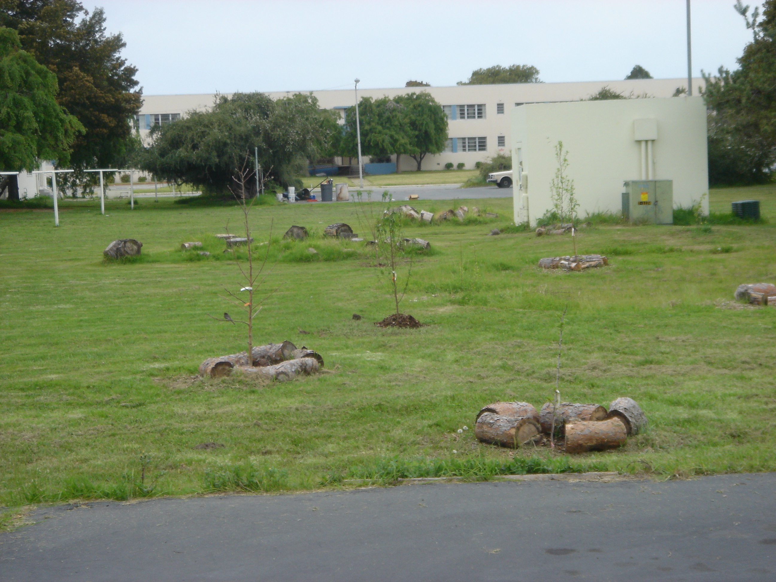 fruit_trees_in_common_space